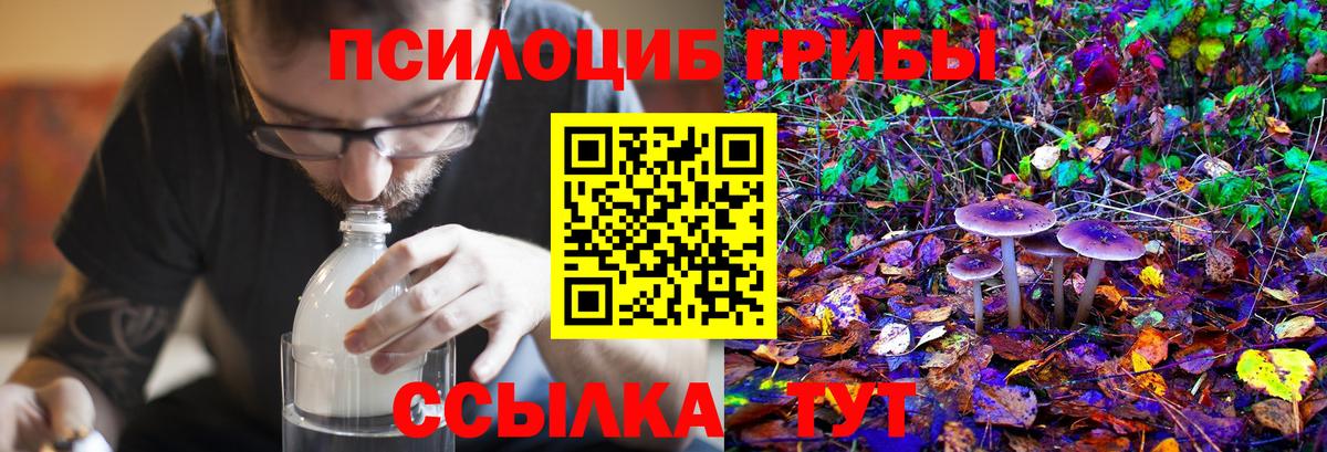 Псилоцибиновые грибы MAGIC MUSHROOMS  Вход с VPN  Саяногорск  Псилоцибиновые грибы Psilocybe 